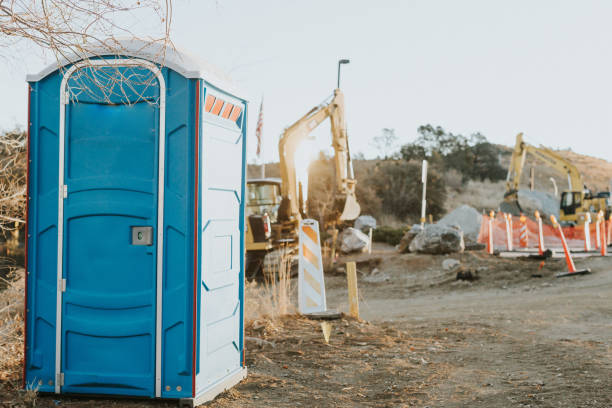Best Affordable porta potty rental  in Ford Heights, IL