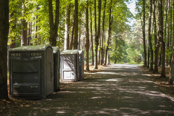 Best Best portable toilet rental  in Ford Heights, IL